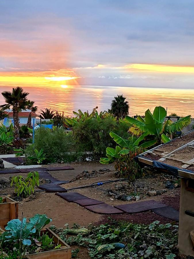 Eco Camping Nueva Vida ξενώνας Chío Εξωτερικό φωτογραφία