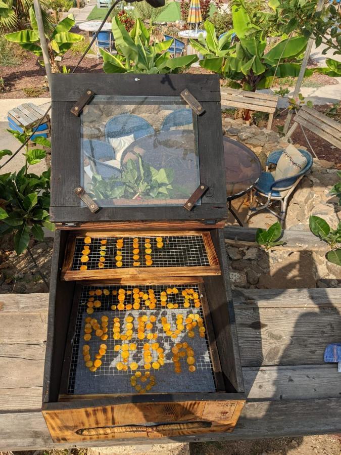 Eco Camping Nueva Vida ξενώνας Chío Εξωτερικό φωτογραφία