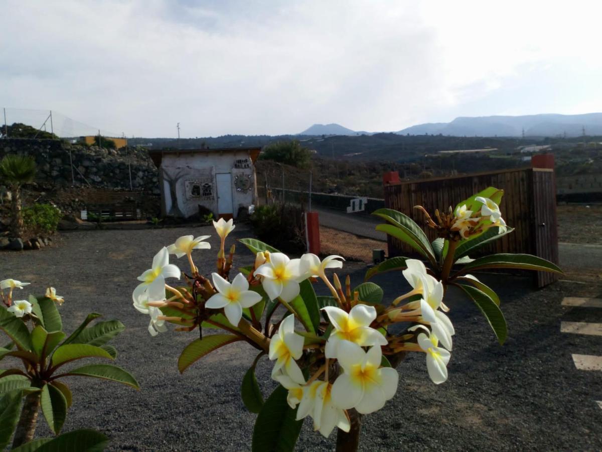 Eco Camping Nueva Vida ξενώνας Chío Εξωτερικό φωτογραφία